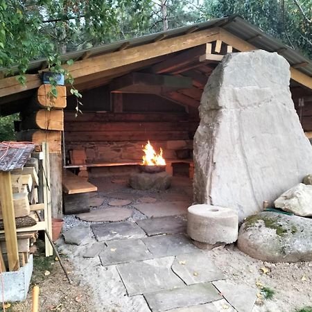 Domek Pod Krolowem Ustroń Εξωτερικό φωτογραφία