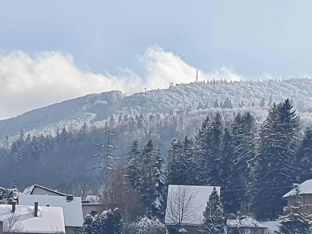 Domek Pod Krolowem Ustroń Εξωτερικό φωτογραφία